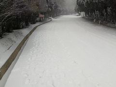 -兰山公园