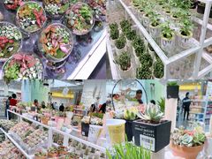 -KKV(深圳宏发大仟里店)