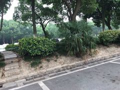 -乌镇西栅景区·1号停车场