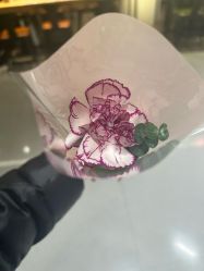 -丝域养发馆