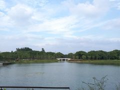 景点-昆山城市生态森林公园