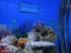 -成都浩海立方海洋公园