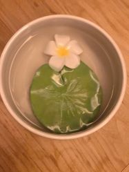 -梵隐SPA