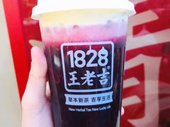 -1828王老吉·草本新茶(珠江新城地铁站店)