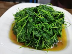 -协和菜馆(凤凰街店)