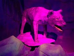 -石林冰雪海洋世界