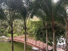 -三亚亚龙湾金棕榈度假酒店