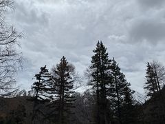 -亚拉雪山风景区