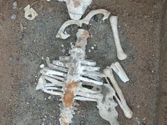 -洛阳古墓博物馆