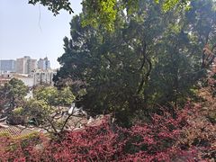 -乌山风景区
