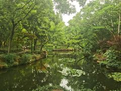-秋霞圃