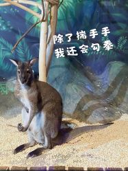 -未来动物城动物主题公园(大悦城店)