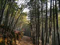 -会稽山峡洞漂流-上青古道