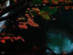 -宋宴(虎跑店)