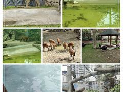 -成都动物园
