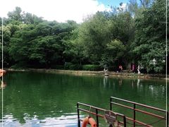 -蝴蝶泉公园