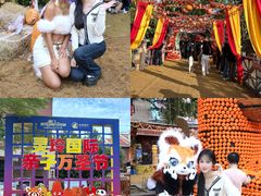 -灵玲国际马戏城