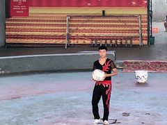 -石家庄市动物园