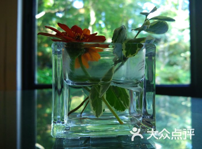 tea lounge orchid图片 - 第10张