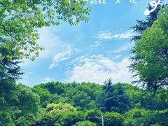 -新洲生态园
