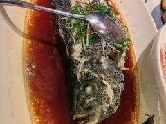 -汤臣·空中餐厅·严选粤菜(石湾世博广场店)