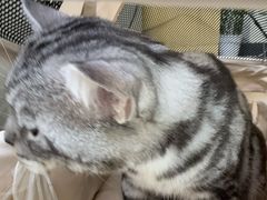 -美联众合动物医院·24h转诊中心