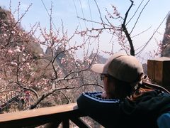 -狼牙山风景区