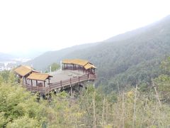 -铁山坪森林公园