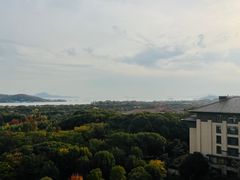 -太湖饭店·寄畅轩中餐厅