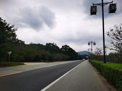 -司徒庙