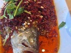-杨氏青龙虾·羊蝎子(珠江路店)