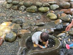 -成都市活水公园