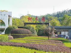 -中山市树木园