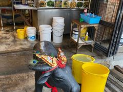 -大树下海鲜饭店