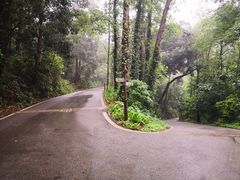 -三门江国家森林公园