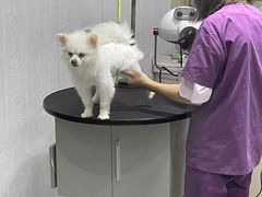 -宠颐生动物医院·小陆分院