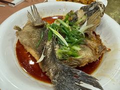 -海晖酒楼·顺德鱼生(荣华店)