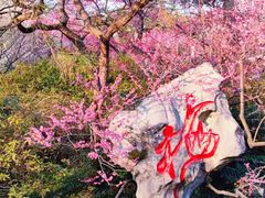 -杭州植物园