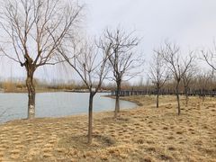 -东郊湿地公园