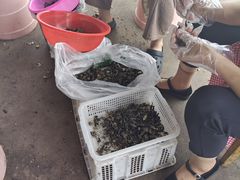 -山人野生菌餐厅