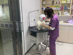 -宠颐生动物医院·小陆分院