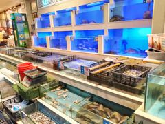 水产区-宜宾海鲜酒家·三十年老字号