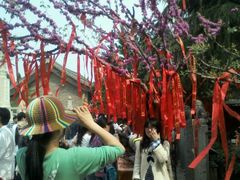 许愿树-西安青龙寺遗址景区