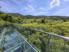 -陶祖圣境风景区