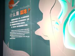 -中国湿地博物馆
