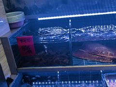 -金海湾海鲜排档(朱家尖店)