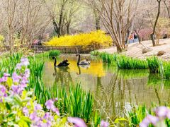 -济南喜来登酒店