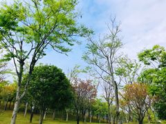 -牛岗山公园