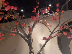 -佬肥猫·浙江乡村菜(国华广场店)