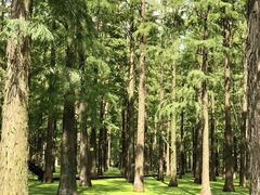 -渌洋湖湿地公园